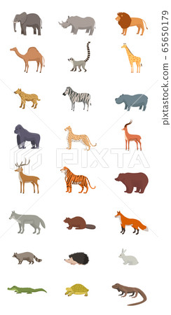 Wild animals flat vector illustrations set 65650179