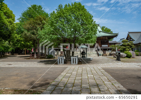 Majiryuji main hall Majiryuji main hall 65650291