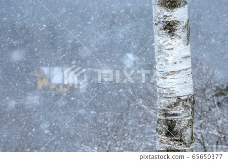 Okayama Prefecture Hiruzen Kogen winter scenery 65650377