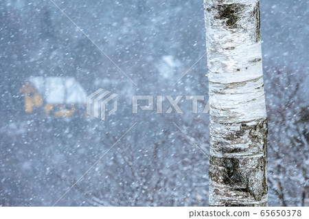 Okayama Prefecture Hiruzen Kogen winter scenery Okayama Prefecture Hiruzen Kogen winter scenery 65650378