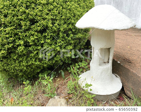 Mushroom shape 65650392