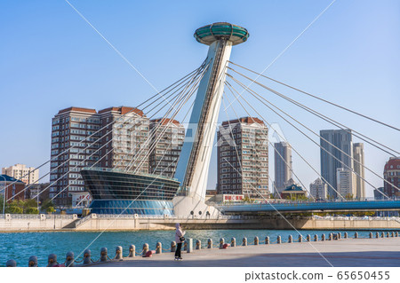 Modern landmark bridge on the Hai River 65650455