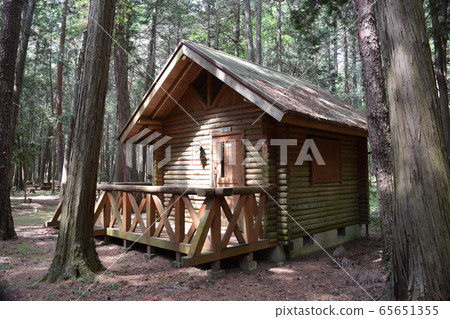 在森林裡的木屋 在森林裡的木屋 65651355
