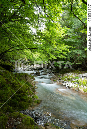 Image of spring and fresh greenery at the source of the Aichi River in Shiga Prefecture 65651507