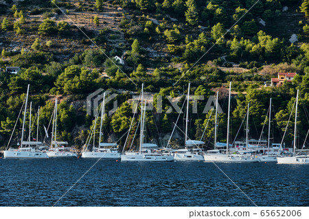 Is a lot of sailboats in marina in Croatia at sunset, Island with green trees are on background, is near the city Vis Is a lot of sailboats in marina in Croatia at sunset, Island with green trees are on background, is near the city Vis 65652006