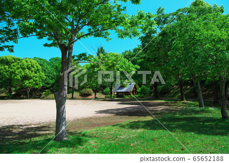 新鮮的綠色公園 新鮮的綠色公園 65652188