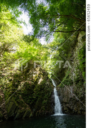 滋賀縣愛知河上游水穀和瀑布 65652459