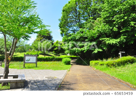 橫濱工業公園十塚區伊賀池池前的新鮮綠地 橫濱工業公園十塚區伊賀池池前的新鮮綠地 65653459