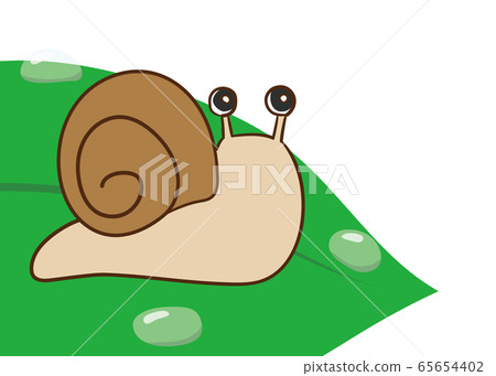 蝸牛 65654402