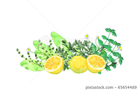 Lemon and herb watercolor Lemon and herb watercolor 65654489