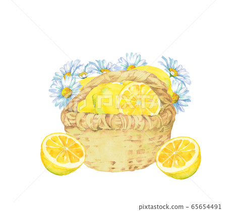 Lemon and marguerite and basket 65654491