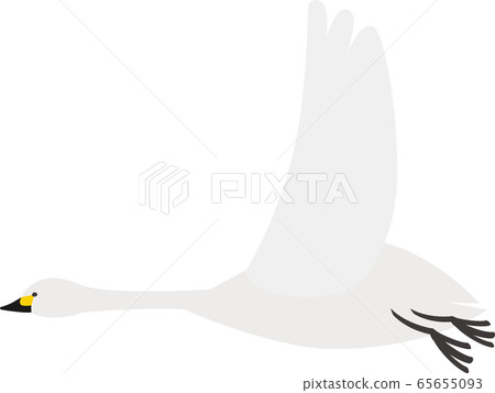 Animal Swan Swan Animal Swan Swan 65655093