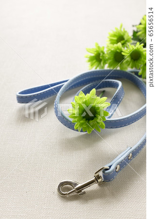 Pet burial Pet burial 65656514