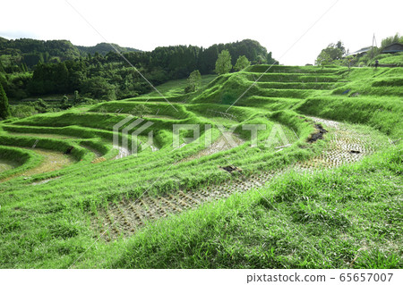 A thousand sheets 65657007