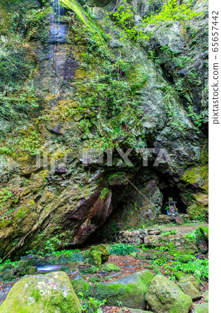 新鮮的綠色岩手神社[長崎縣雲仙市] 65657442