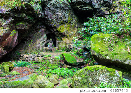 新鮮的綠色岩手神社[長崎縣雲仙市] 65657443