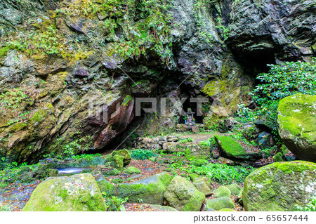 新鮮的綠色岩手神社[長崎縣雲仙市] 65657444