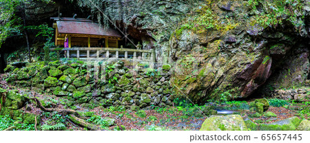 新鮮的綠色岩手神社全景[長崎縣雲仙市] 65657445