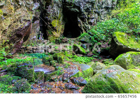 新鮮的綠色岩手神社[長崎縣雲仙市] 65657456