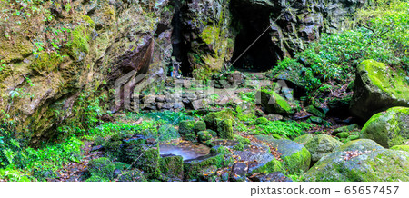 新鮮的綠色岩手神社全景[長崎縣雲仙市] 65657457