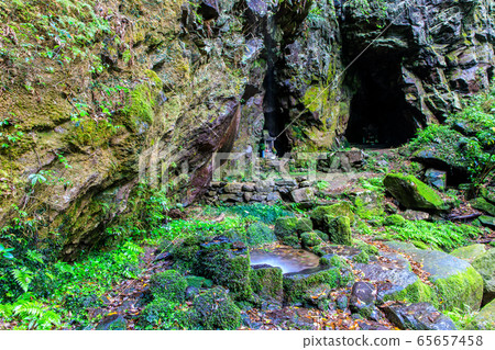 新鮮的綠色岩手神社[長崎縣雲仙市] 65657458
