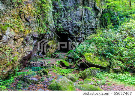 Fresh green Iwato Shrine [Unzen City, Nagasaki Prefecture] 65657467