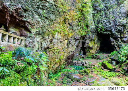 Fresh green Iwato Shrine [Unzen City, Nagasaki Prefecture] 65657473