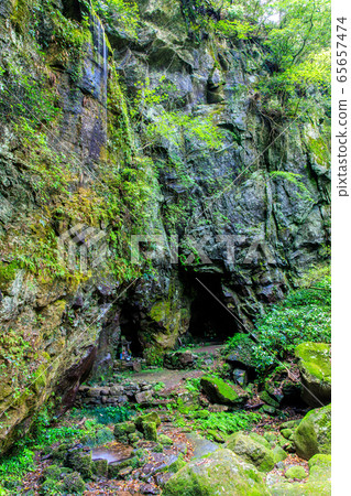 新鮮的綠色岩手神社[長崎縣雲仙市] 65657474