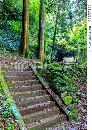 Fresh green Iwato Shrine [Unzen City, Nagasaki Prefecture] 65657532