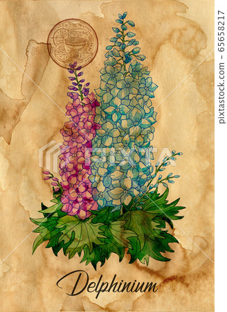 Aconite flower with magic seal on old paper texture background. Witch healing herbs collection for Halloween. Hand drawn botanical illustration with esoteric, occult and wicca symbols. Aconite flower with magic seal on old paper texture background. Witch healing herbs collection for Halloween. Hand drawn botanical illustration with esoteric, occult and wicca symbols. 65658217