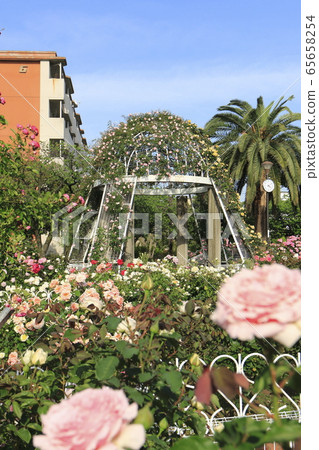 Seiwa Rose Park, Aoi, Adachi-ku, Tokyo Seiwa Rose Park, Aoi, Adachi-ku, Tokyo 65658254