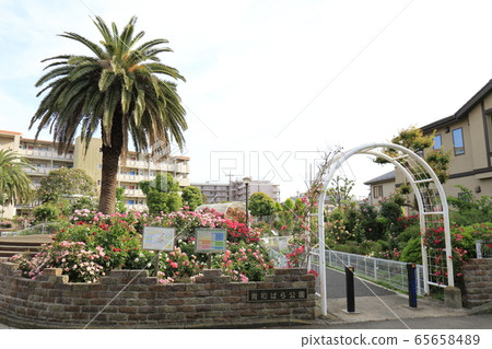 東京都足立區青瓦原公園葵 東京都足立區青瓦原公園葵 65658489