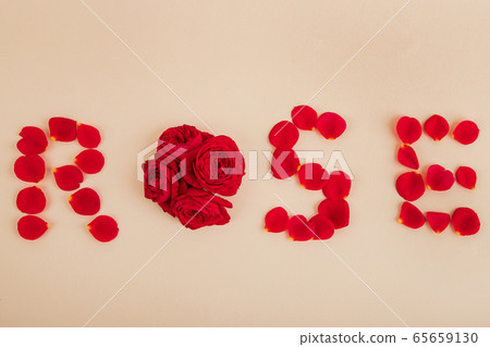 Lovers' Day concept, romantic couple event objects 088 Lovers' Day concept, romantic couple event objects 088 65659130