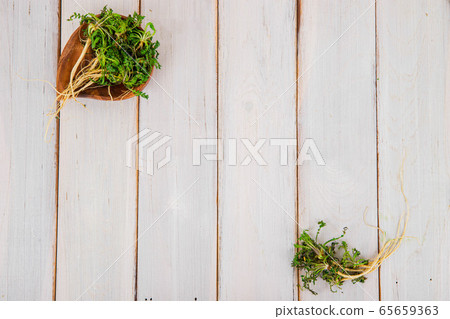 Spring vegetables and herbs, close up of nutritious greens sprouting in spring. 137 65659363