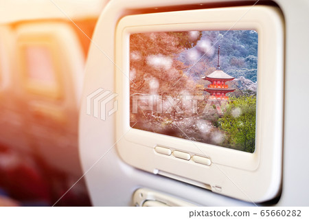 Aircraft monitor  65660282