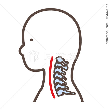 Straight neck Normal smartphone neck, etc. 65660953