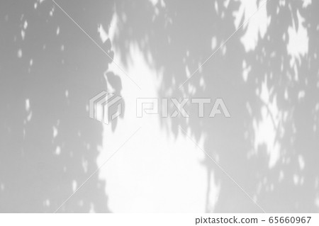 shadows of the tree branches on a white wall 65660967