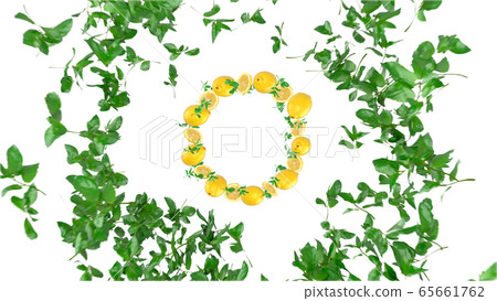 檸檬 薄荷 水果 65661762