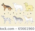 Large dog 65661960
