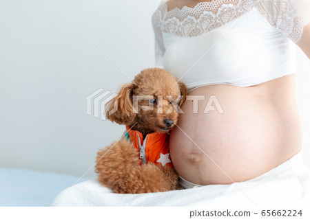 Maternity photo last month 10 months Maternity photo last month 10 months 65662224