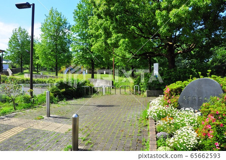 橫濱鳥塚町東之島中央公園入口附近的新鮮綠化 照片素材 圖片 圖庫