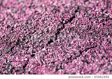 The soil background is pink. Close-up and copy space 65662892