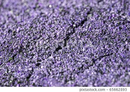 The soil background is purple. Close-up and copy space The soil background is purple. Close-up and copy space 65662893