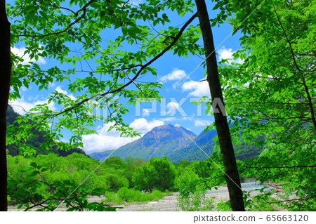 Beautiful Northern Alps 2005: Fresh green Kamikochi 2005 65663120