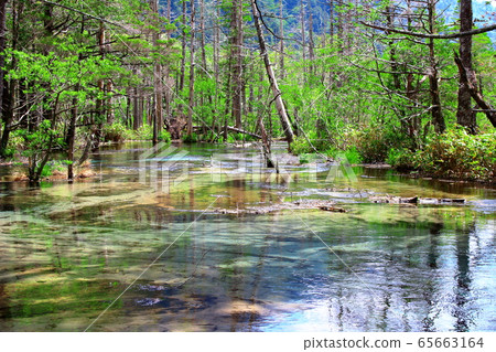Beautiful Northern Alps 2005: Fresh green Kamikochi 2005 Beautiful Northern Alps 2005: Fresh green Kamikochi 2005 65663164