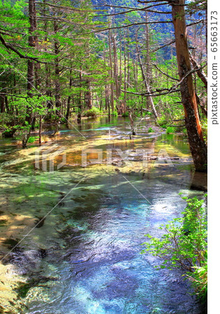 Beautiful Northern Alps 2005: Fresh green Kamikochi 2005 65663173