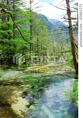 Beautiful Northern Alps 2005: Fresh green Kamikochi 2005 65663175