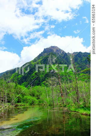 Beautiful Northern Alps 2005: Fresh green Kamikochi 2005 65663194