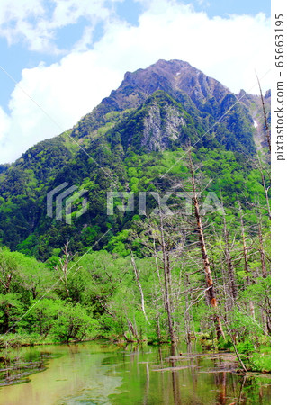 Beautiful Northern Alps 2005: Fresh green Kamikochi 2005 Beautiful Northern Alps 2005: Fresh green Kamikochi 2005 65663195