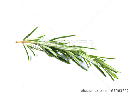 Rosemary Rosemary 65663722